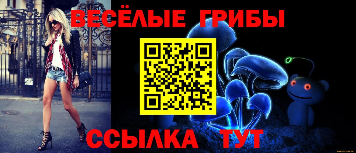Псилоцибиновые грибы Psilocybe  Вход с VPN  Ухта  Псилоцибиновые грибы Psilocybine cubensis 